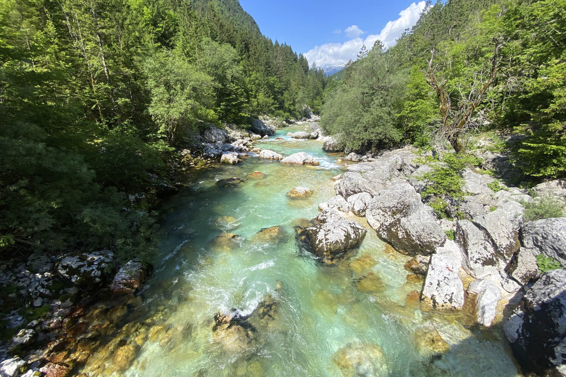 Wildwasser-Woche an der Soca / Slowenien
